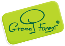 English language courses Green Forest